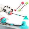 Dog Elastic Rubber Ball Toy Interactive Rubber Balls Pet Dog Cat Puppy Elasticity Ball Dog Chew Tooth Cleaning Toys Pet Molar