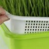 Seed Sprouter Tray BPA Free PP Soil-Free Big Capacity Healthy Wheatgrass Grower with Cover Seedling Tray Sprout Plate Hydroponic