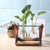 Glass and Wood Vase Planter Terrarium Table Desktop Hydroponics Plant Bonsai Flower Pot Hanging Pots with Wooden Tray Home Decor