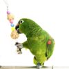 5pcs Parrot Toy Bird Cage Swing Hammock Pet Bird Hanging Bell Hanging Toy Macaw Parrot Love Bird Finches Brids Toy Supplies